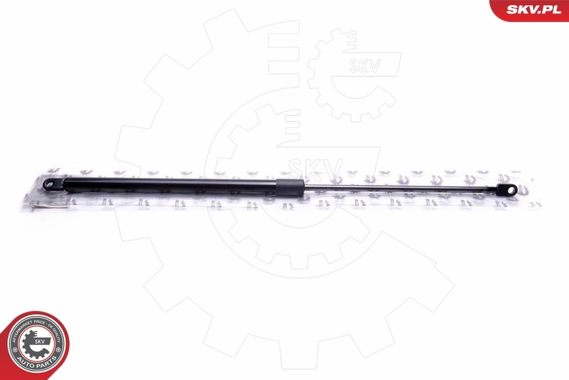 Gas Spring, boot/cargo area